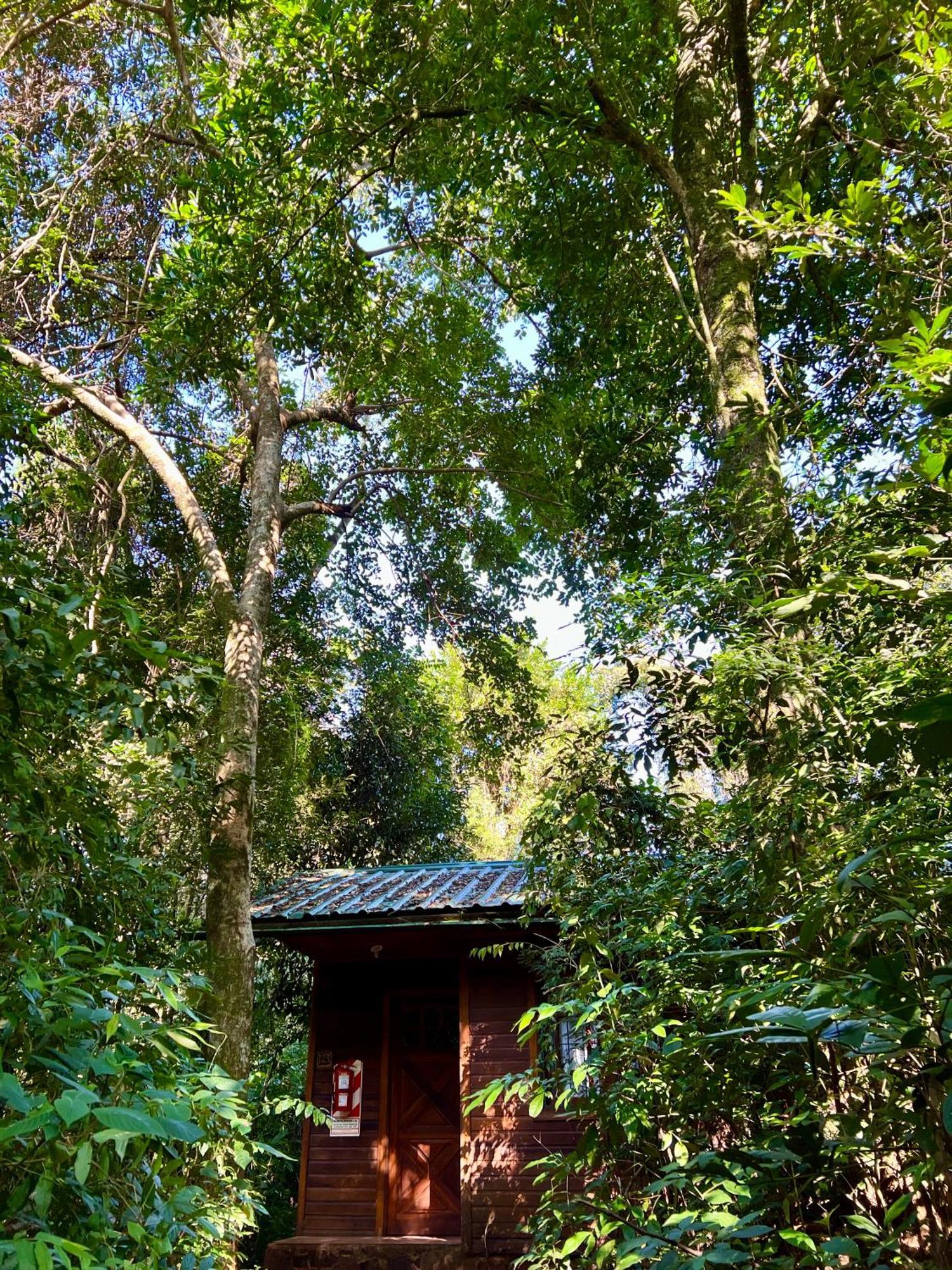 Rainforest Hotel Selva Puerto Iguazú Eksteriør bilde